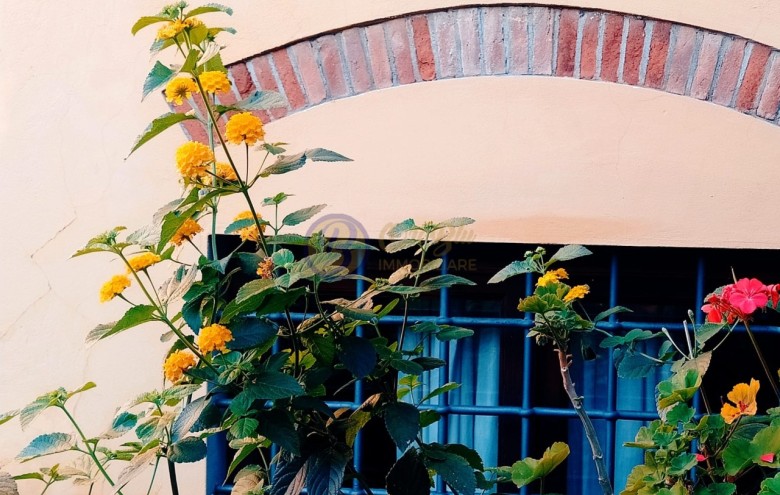 Villa singola in vendita a Massarosa