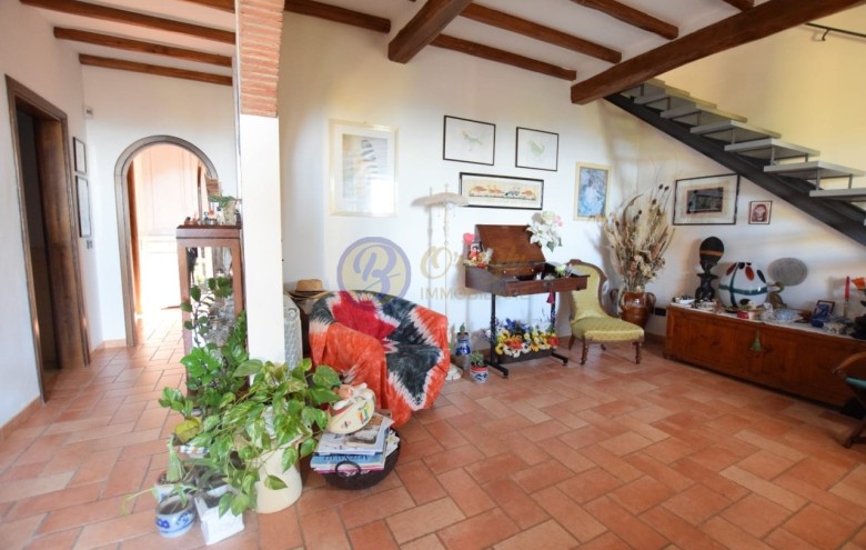 Villa singola in vendita a Massarosa