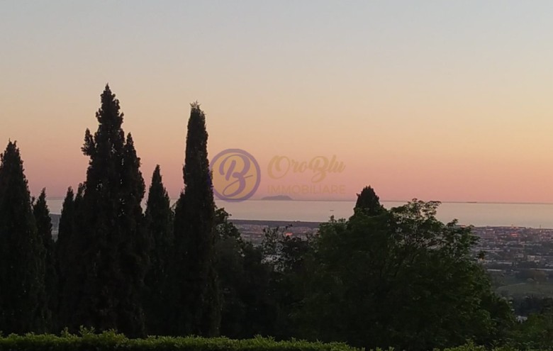 Villa singola in vendita a Massarosa