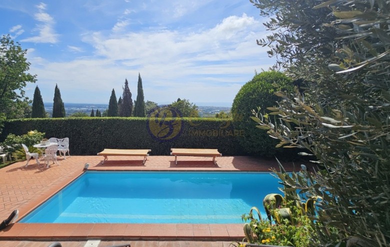 Villa singola in vendita a Massarosa