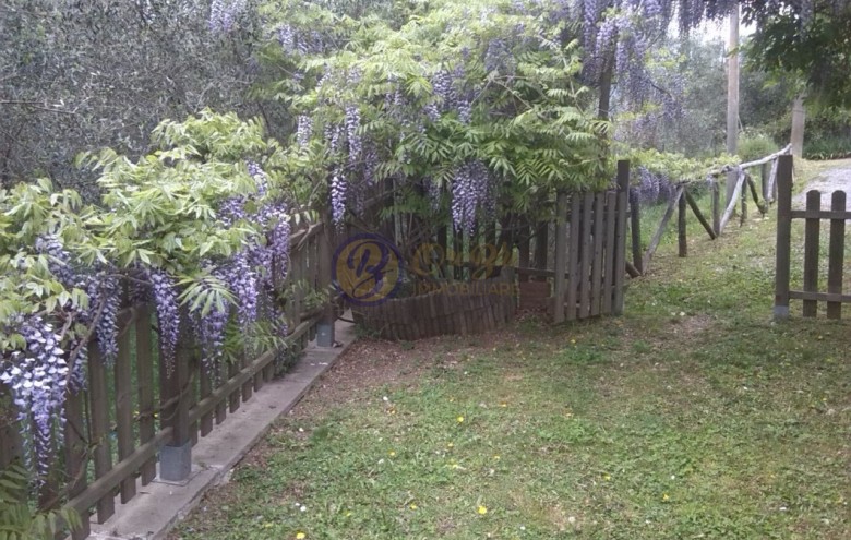 Villa singola in vendita a Massarosa