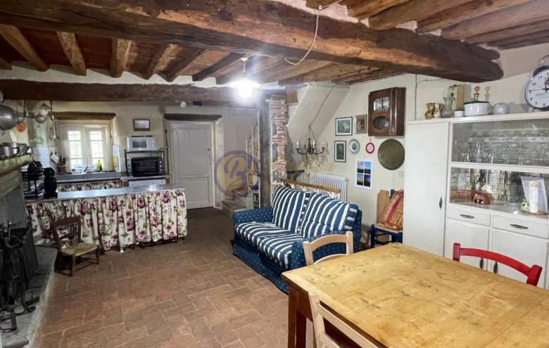 Villa singola in vendita a Massarosa