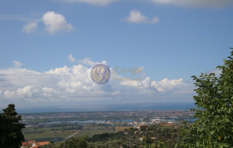 Villa singola in vendita a Massarosa