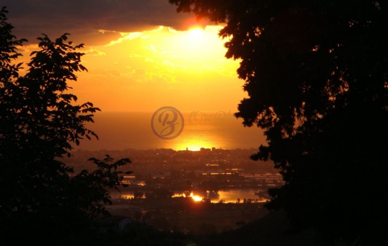 Villa singola in vendita a Massarosa