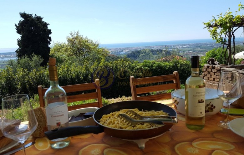 Villa singola in vendita a Massarosa