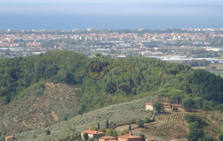 Villa singola in vendita a Massarosa