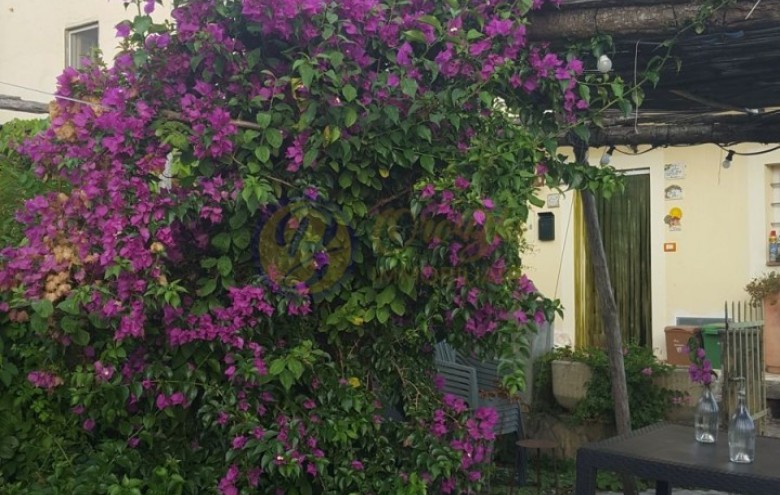 Villa singola in vendita a Massarosa