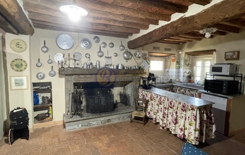 Villa singola in vendita a Massarosa