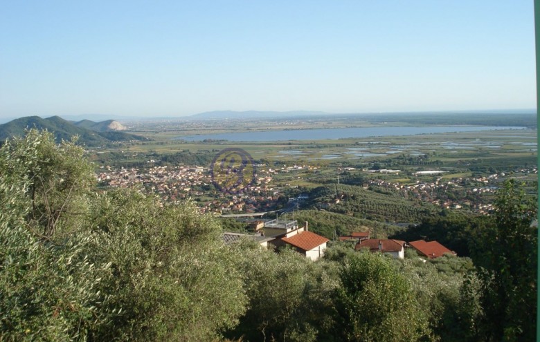 Villa singola in vendita a Massarosa