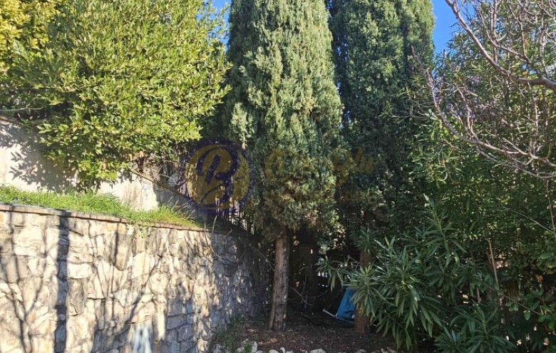 Villa singola in vendita a Massarosa