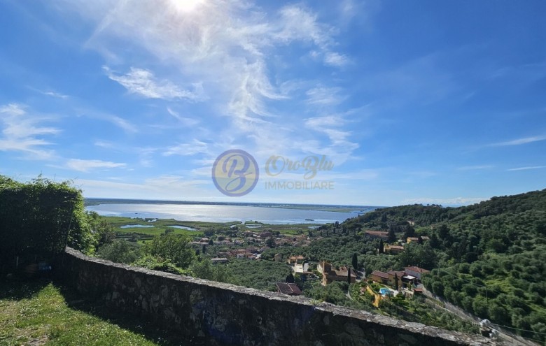 Villa singola in vendita a Massarosa
