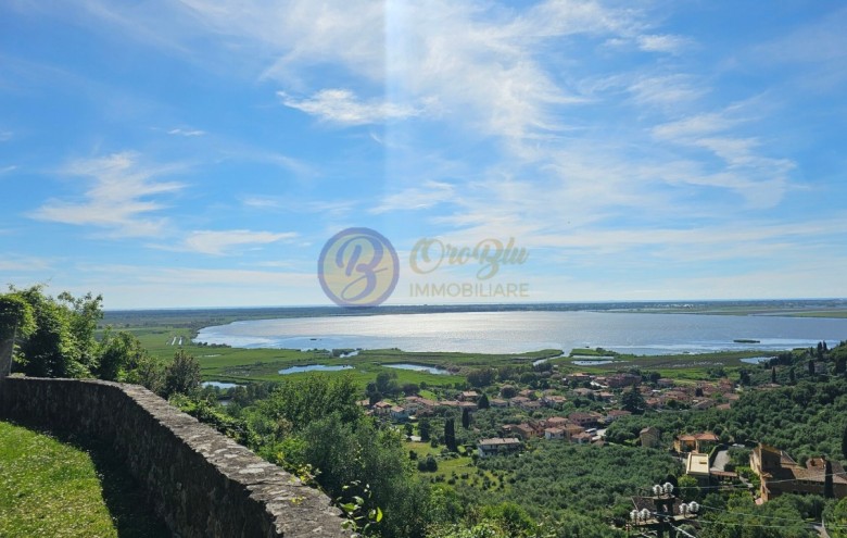 Villa singola in vendita a Massarosa