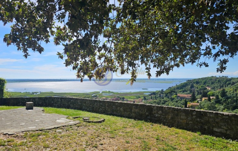 Villa singola in vendita a Massarosa