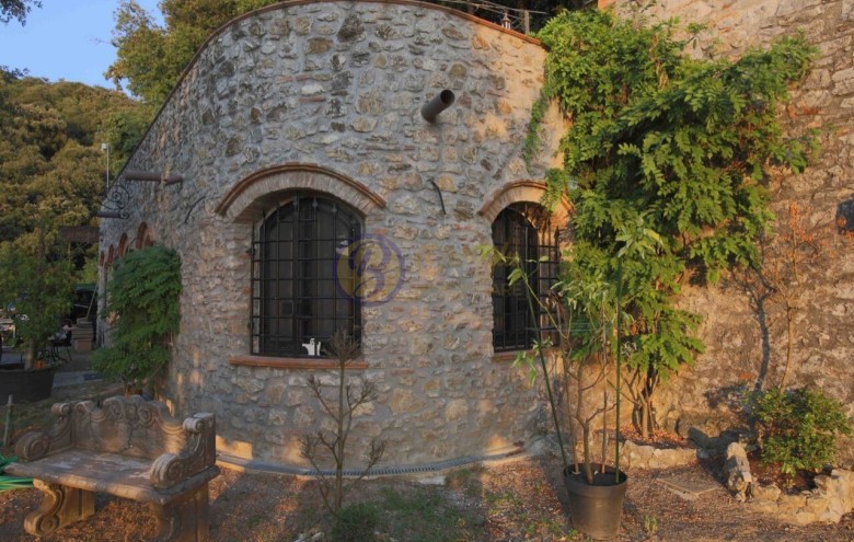 Villa singola in vendita a Massarosa