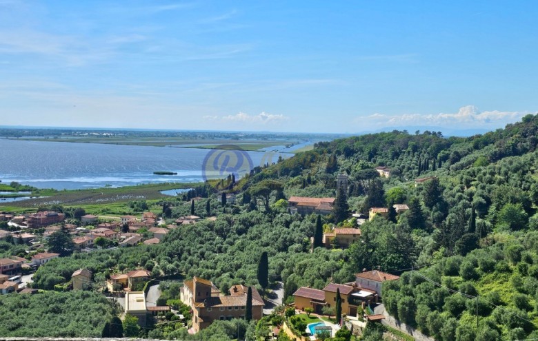 Villa singola in vendita a Massarosa