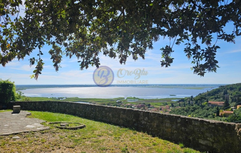 Villa singola in vendita a Massarosa