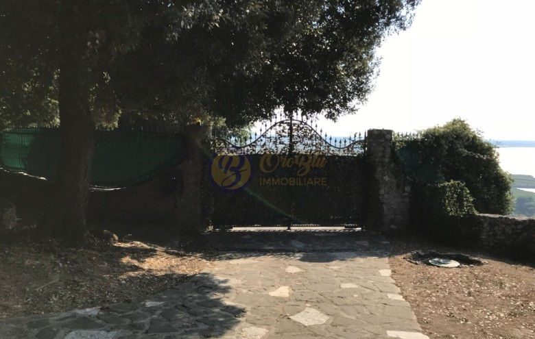 Villa singola in vendita a Massarosa