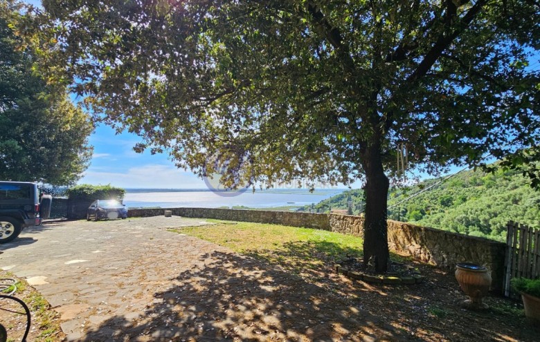 Villa singola in vendita a Massarosa