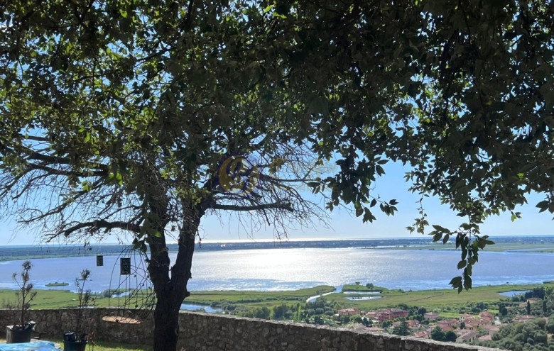 Villa singola in vendita a Massarosa