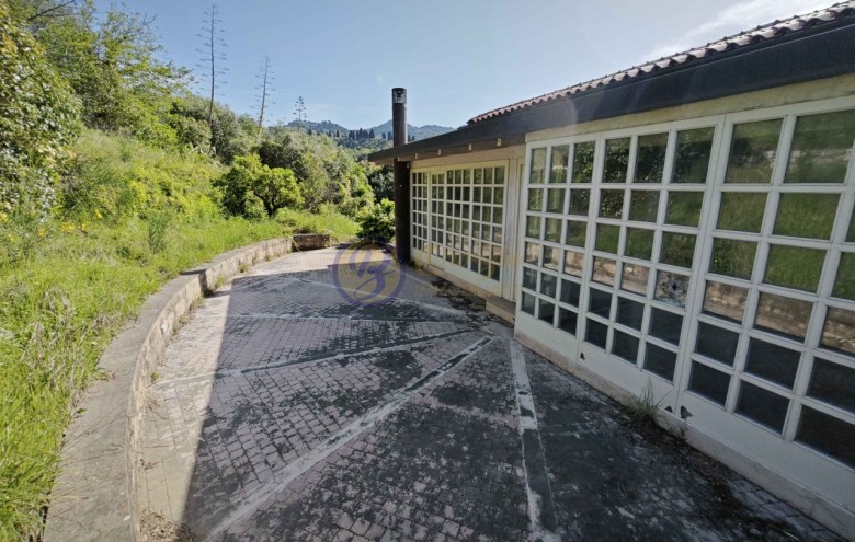 Villa singola in vendita a Massarosa