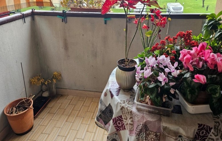 Appartamento in vendita a Pietrasanta