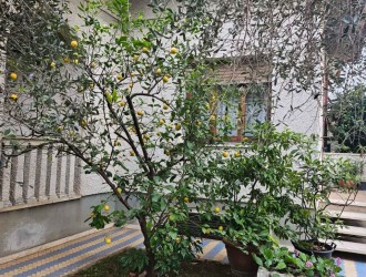 Villa singola in vendita a Pietrasanta