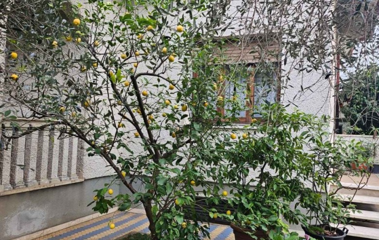 Villa singola in vendita a Pietrasanta