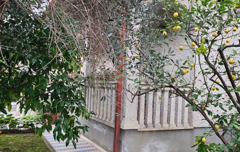 Villa singola in vendita a Pietrasanta