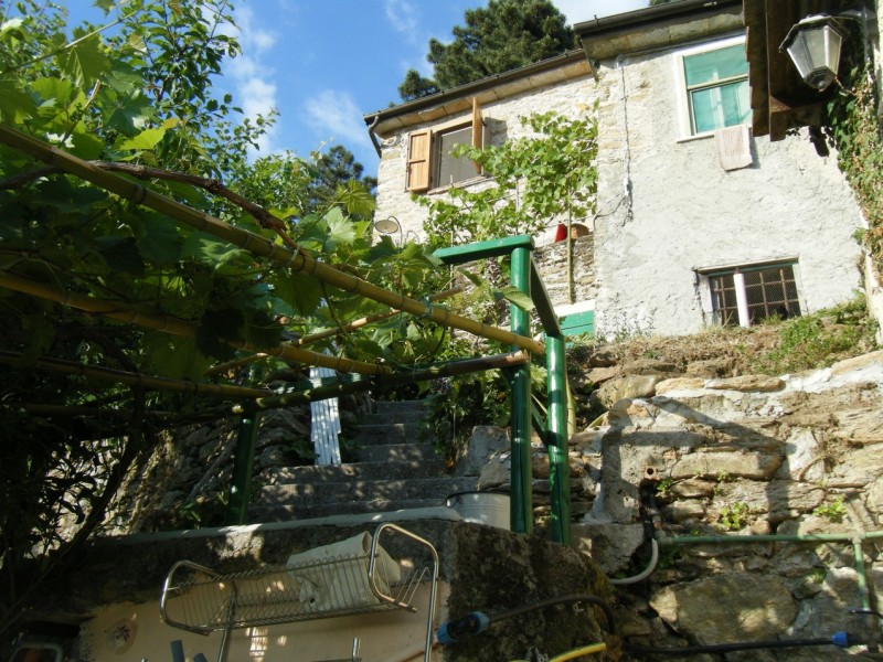 Terratetto in vendita a Pietrasanta