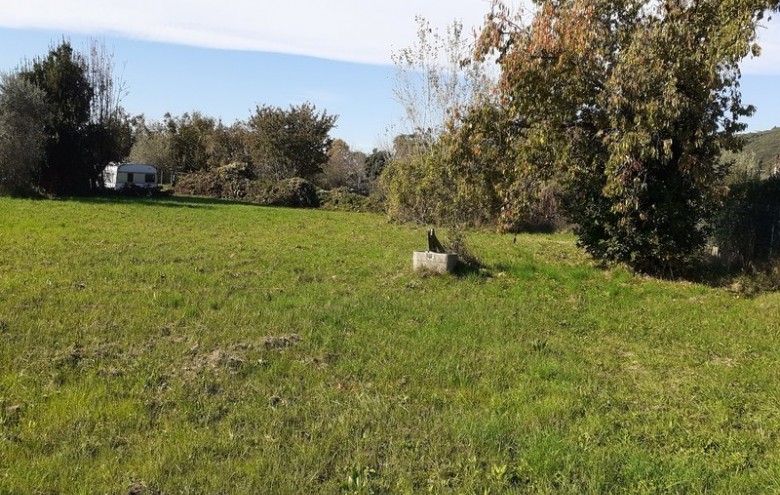 Terreno in vendita a Pietrasanta