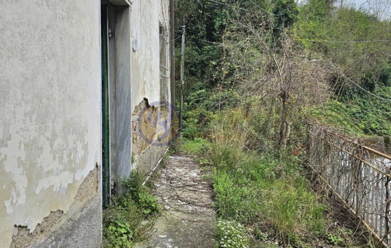 Villa singola in vendita a Pietrasanta