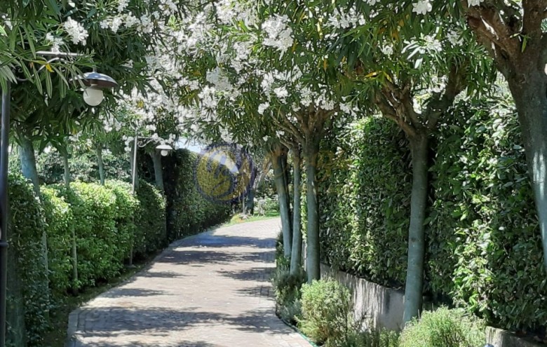 Villa singola in vendita a Pietrasanta