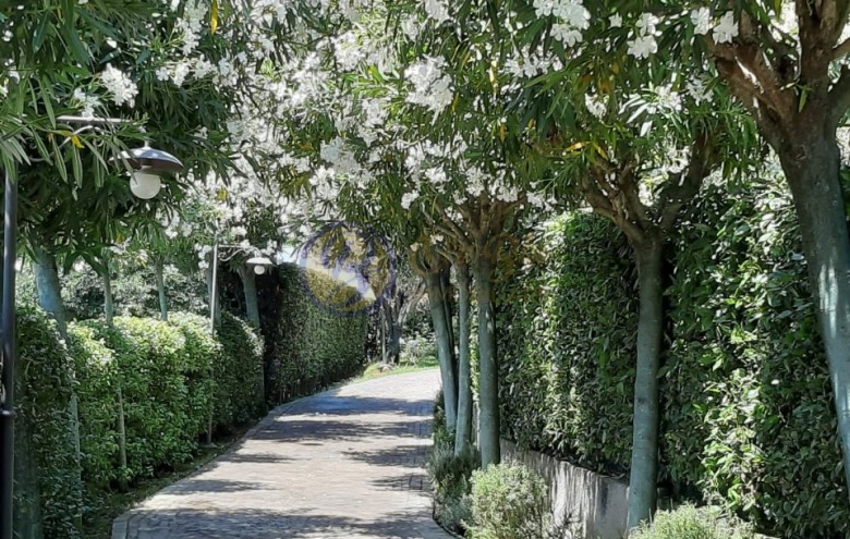 Villa singola in vendita a Pietrasanta