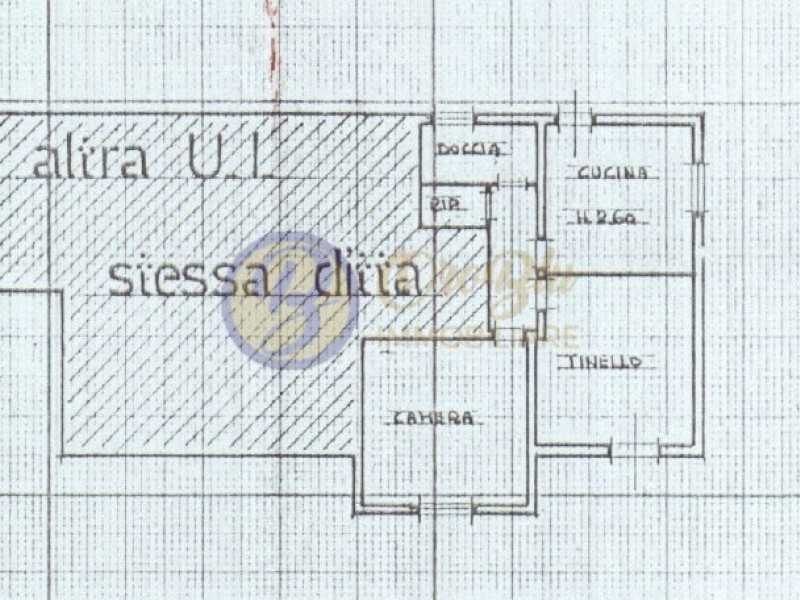 planimetria - Villa singola in vendita a Pietrasanta