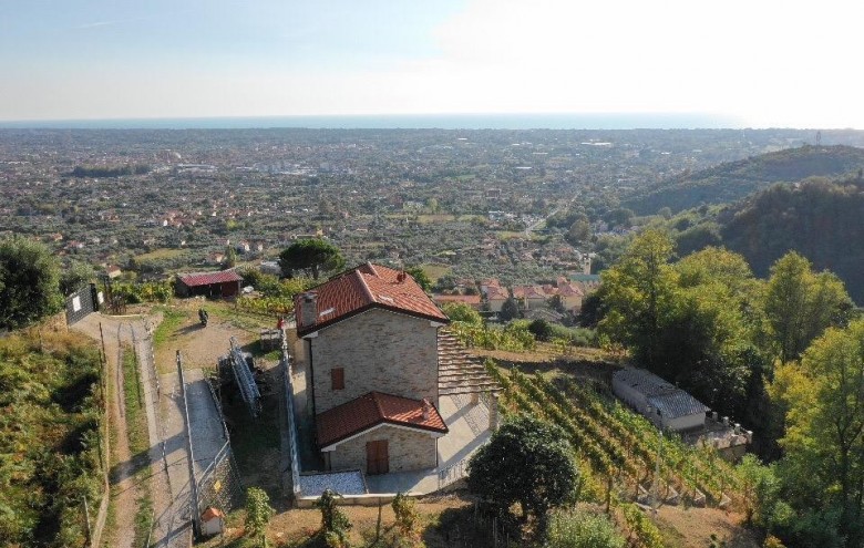 Villa singola in vendita a Pietrasanta