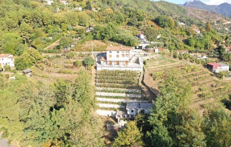 Villa singola in vendita a Pietrasanta