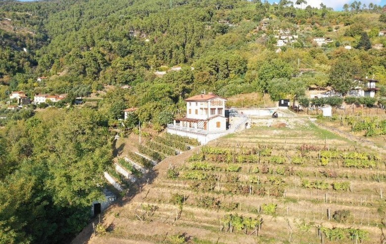 Villa singola in vendita a Pietrasanta