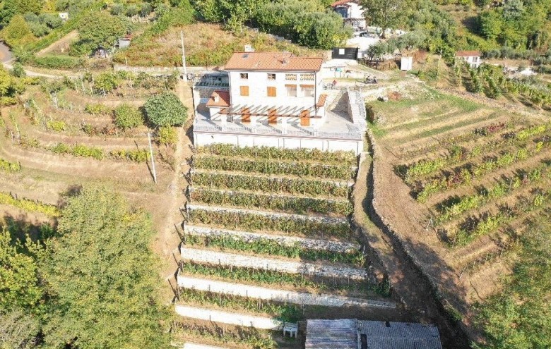 Villa singola in vendita a Pietrasanta