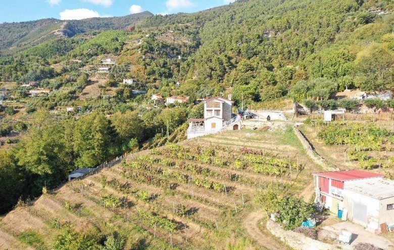 Villa singola in vendita a Pietrasanta