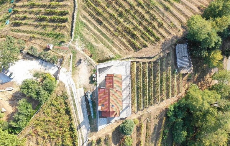 Villa singola in vendita a Pietrasanta