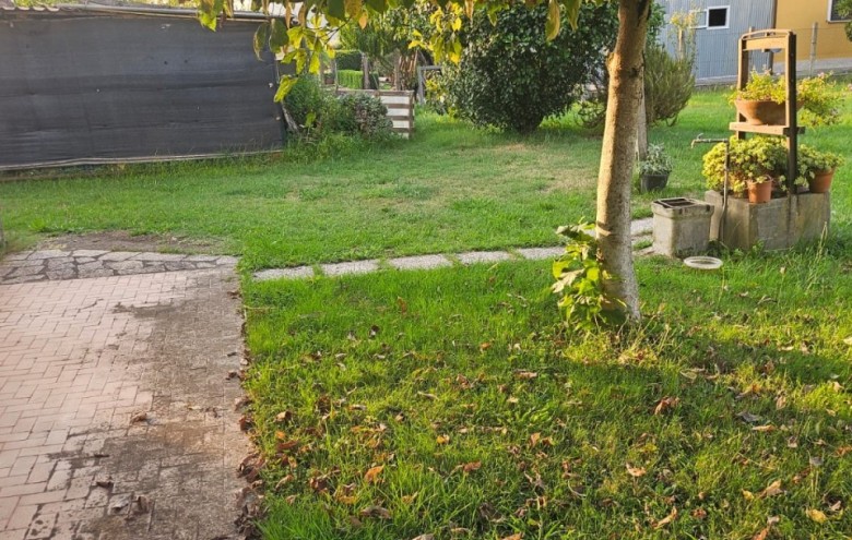 Villa singola in vendita a Seravezza