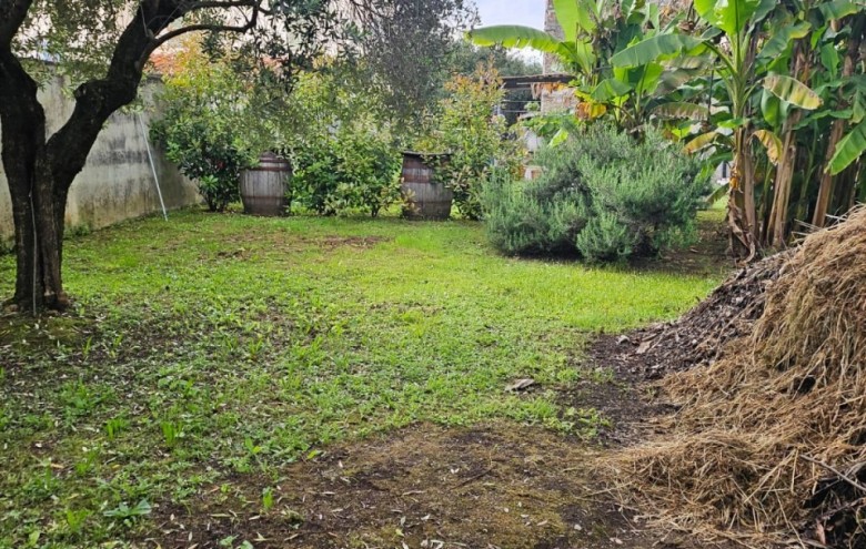 Villa singola in vendita a Seravezza