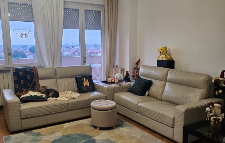 Appartamento in vendita a Seravezza