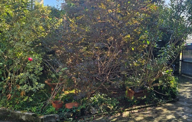 Appartamento in vendita a Seravezza