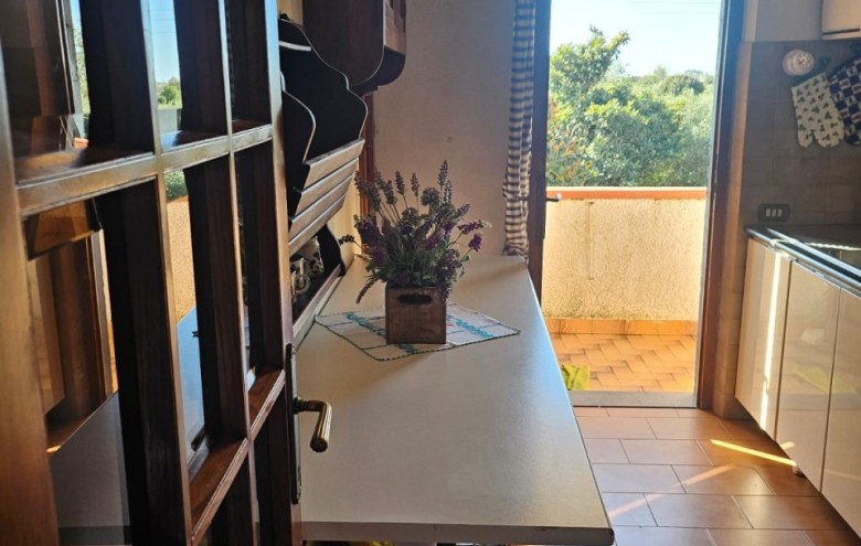 Appartamento in vendita a Seravezza