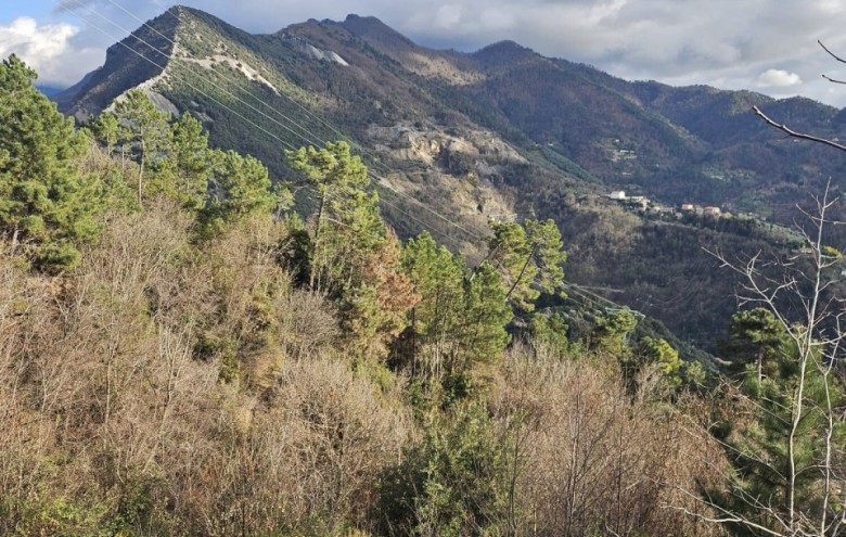 Villa singola in vendita a Seravezza