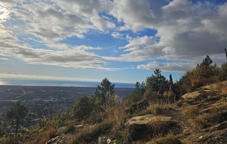 Villa singola in vendita a Seravezza