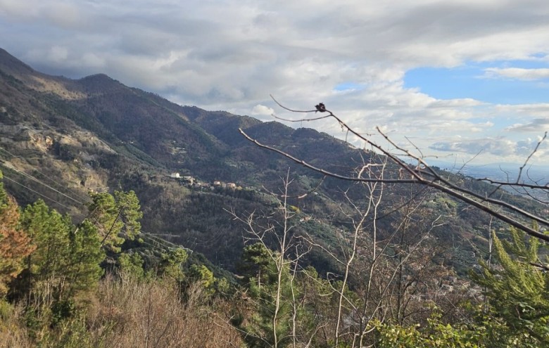 Villa singola in vendita a Seravezza