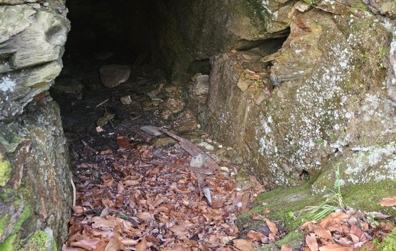 Villa singola in vendita a Seravezza