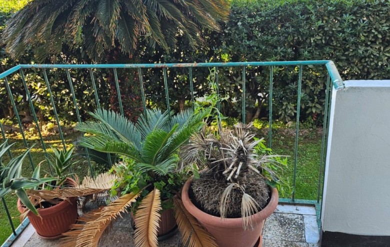 Appartamento in vendita a Seravezza